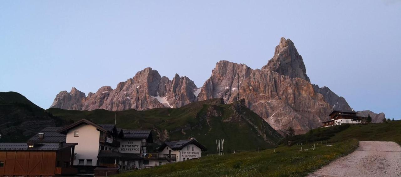 Hotel Alpenrose Passo Rolle Eksteriør billede