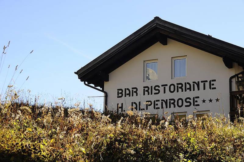 Hotel Alpenrose Passo Rolle Eksteriør billede