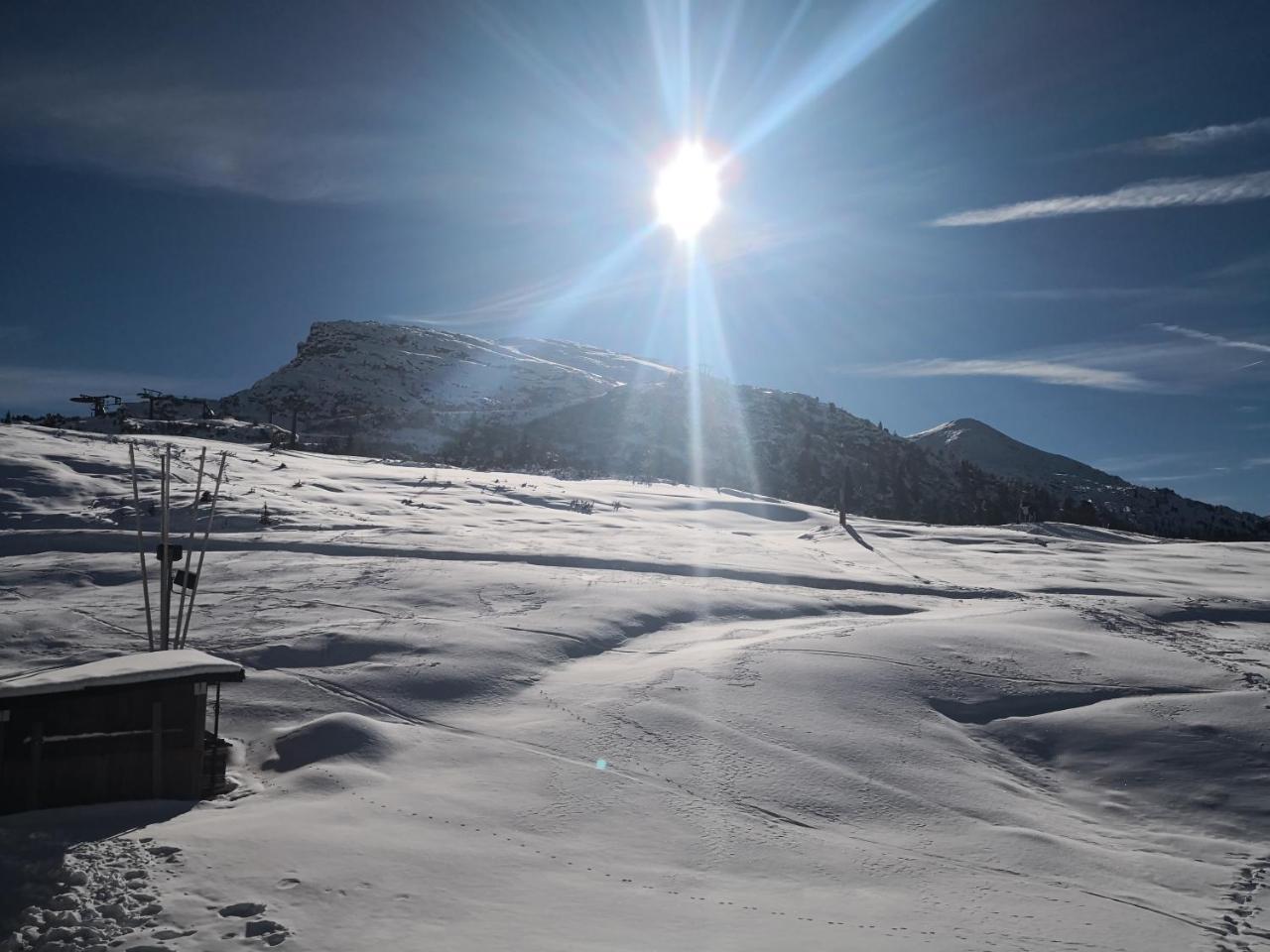 Hotel Alpenrose Passo Rolle Eksteriør billede